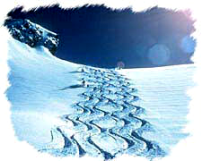 [Join us on the slopes of Courchevel, oui oui!]